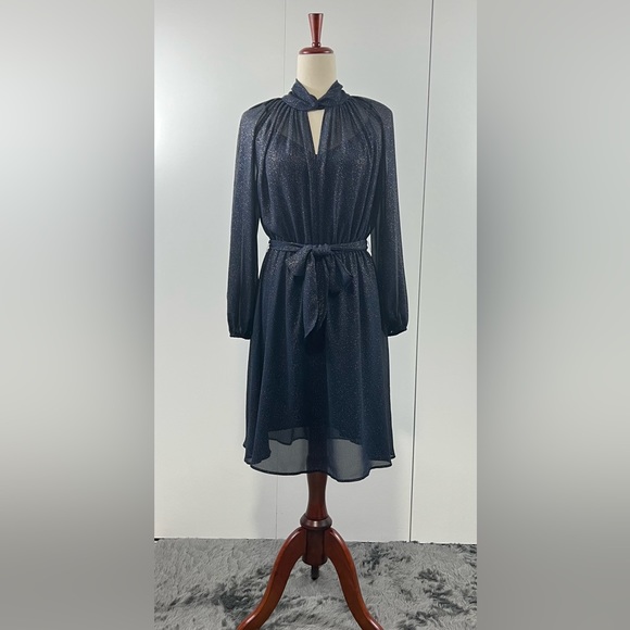 Banana Republic Navy Blue sheer dress with gold speckles - Picture 1 of 14